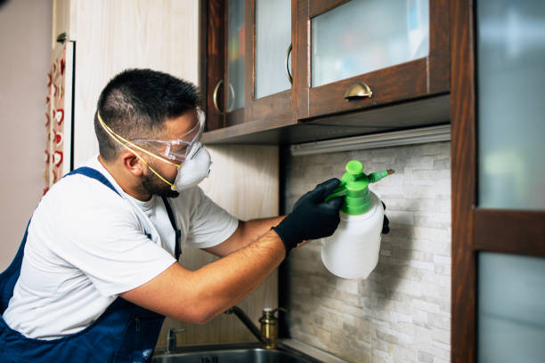 Best Termite Control Services  in Camden, OH