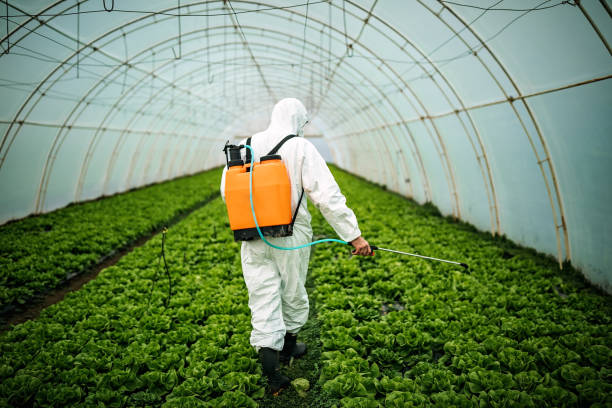 Professional Pest Control in Camden, OH