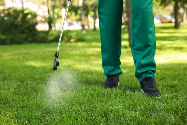 Best Affordable Pest Control Services  in Camden, OH