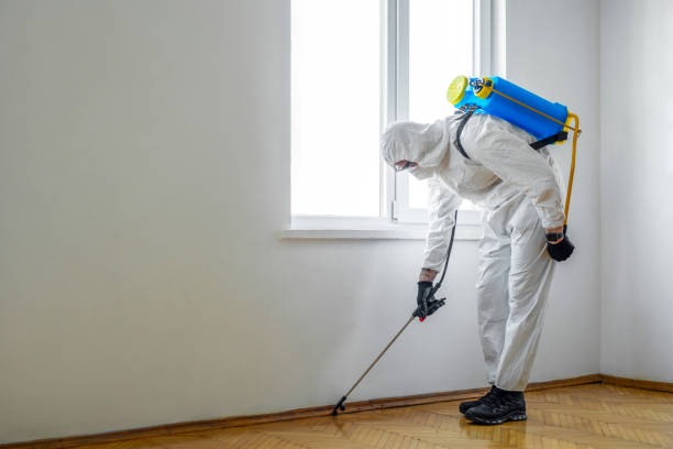 Best Local Pest Control Services  in Camden, OH