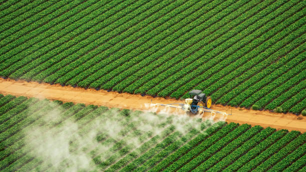 Best Ant Control Services  in Camden, OH