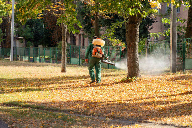 Best Best Pest Control Companies  in Camden, OH