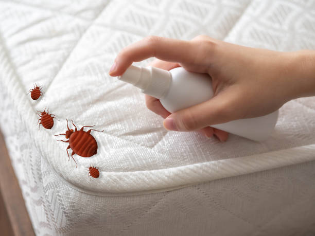  Camden, OH Pest Control Pros