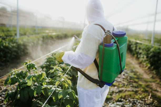 Best Pest Removal Services  in Camden, OH